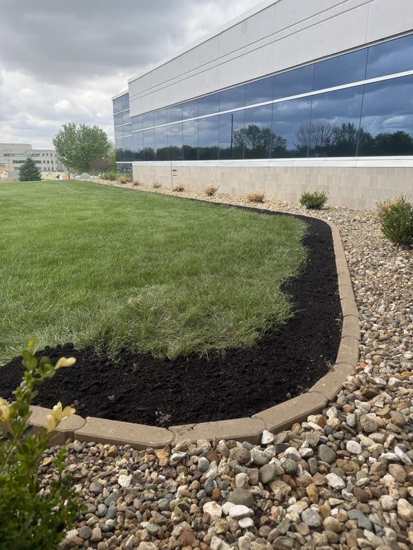 Fresh dark mulch bed with a crisp cut edge against rock