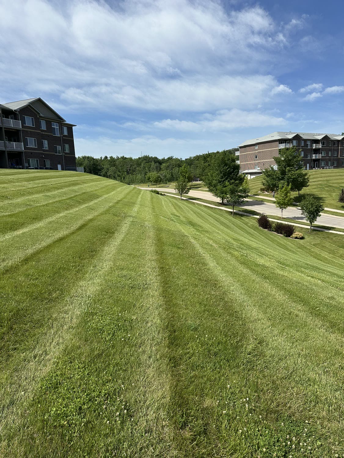Apartment complex lawn mowed in wide alternating stripes